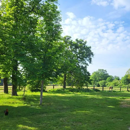 De La Chapelle - Circuit Des 24 - Arnage - 10 Personnes Tatil Evi *