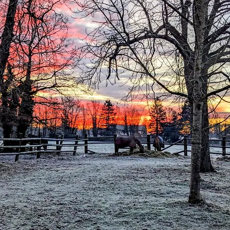 De La Chapelle - Circuit Des 24 - Arnage - 10 Personnes *