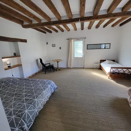 Tatil Evi De La Chapelle - Circuit Des 24 - Arnage - 10 Personnes