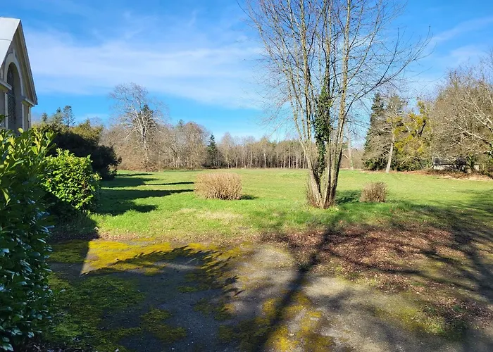 De La Chapelle - Circuit Des 24 - Arnage - 10 Personnes *