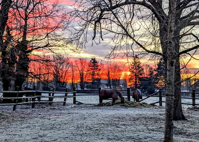De La Chapelle - Circuit Des 24 - Arnage - 10 Personnes *